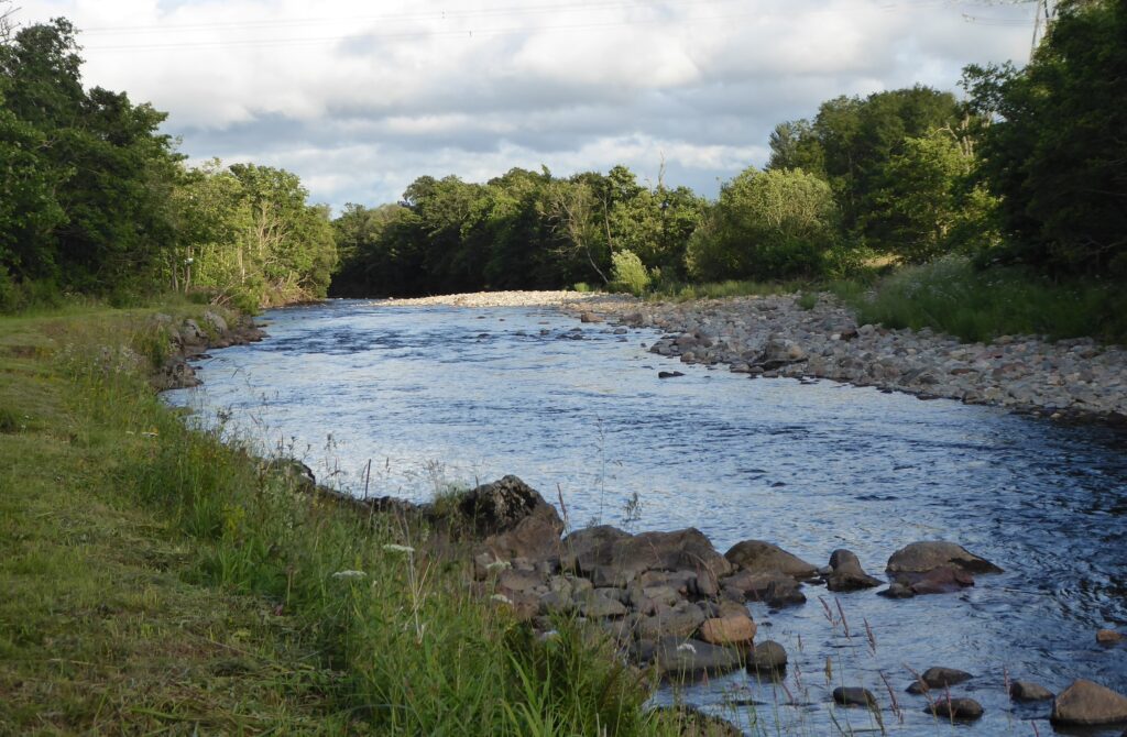 Downie Stream